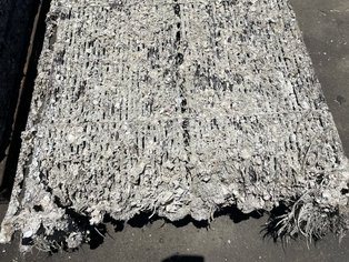 Dettaglio di un box cooler contaminato da alghe marine prima della manutenzione tramite lavaggio, granigliatura e riapplicazione del rivestimento in loco