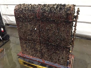 Box Cooler after being in service, covered in marine growth before Eco-Cleaning